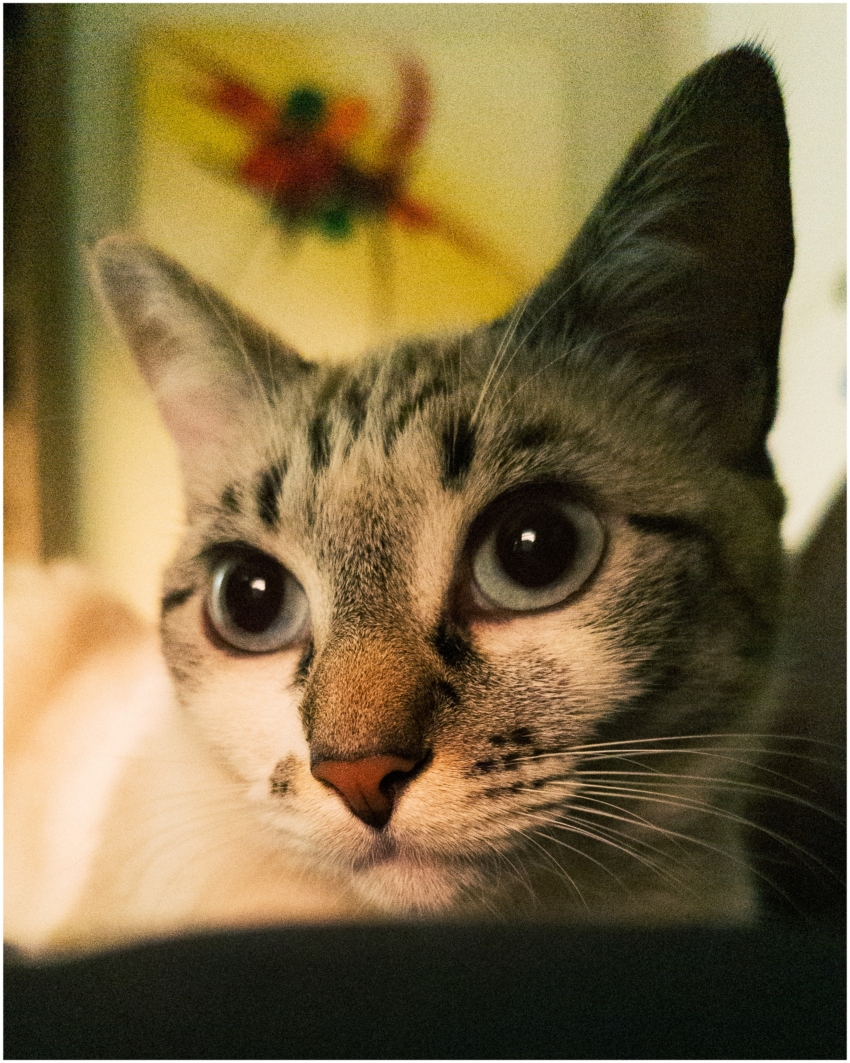 Studio-One.Art.br Repo Fotografia em Rio Preto SP/Brasil