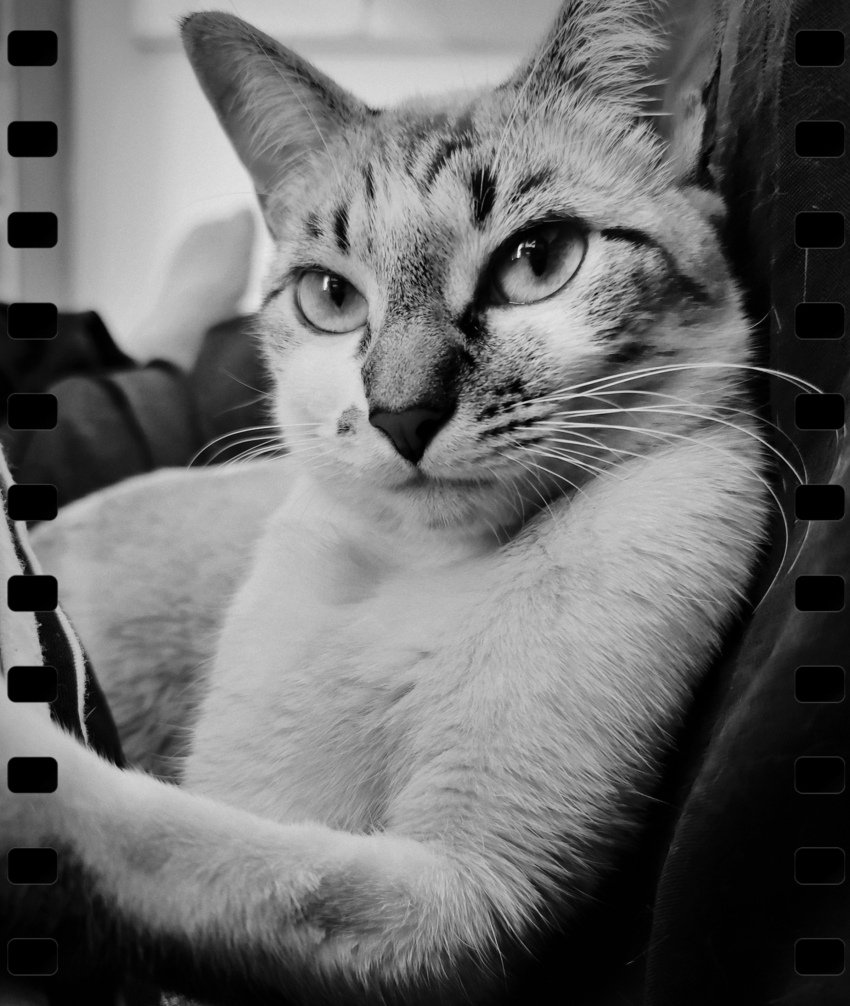 Studio-One.Art.br Repo Fotografia em Rio Preto SP/Brasil