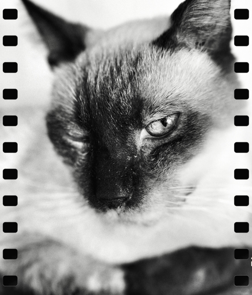 Studio-One.Art.br Repo Fotografia em Rio Preto SP/Brasil