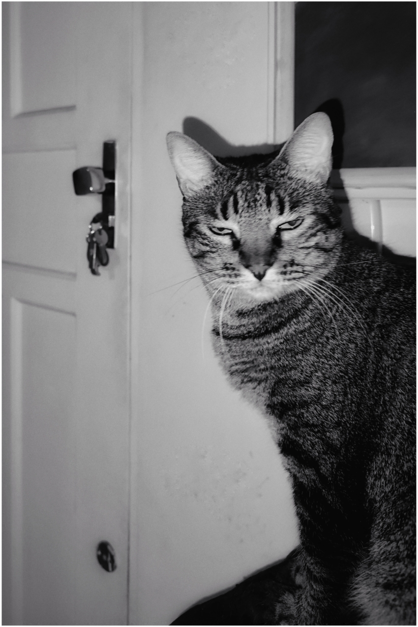 Studio-One.Art.br Repo Fotografia em Rio Preto SP/Brasil