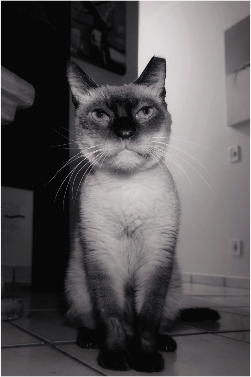 Studio-One.Art.br Repo Fotografia em Rio Preto SP/Brasil