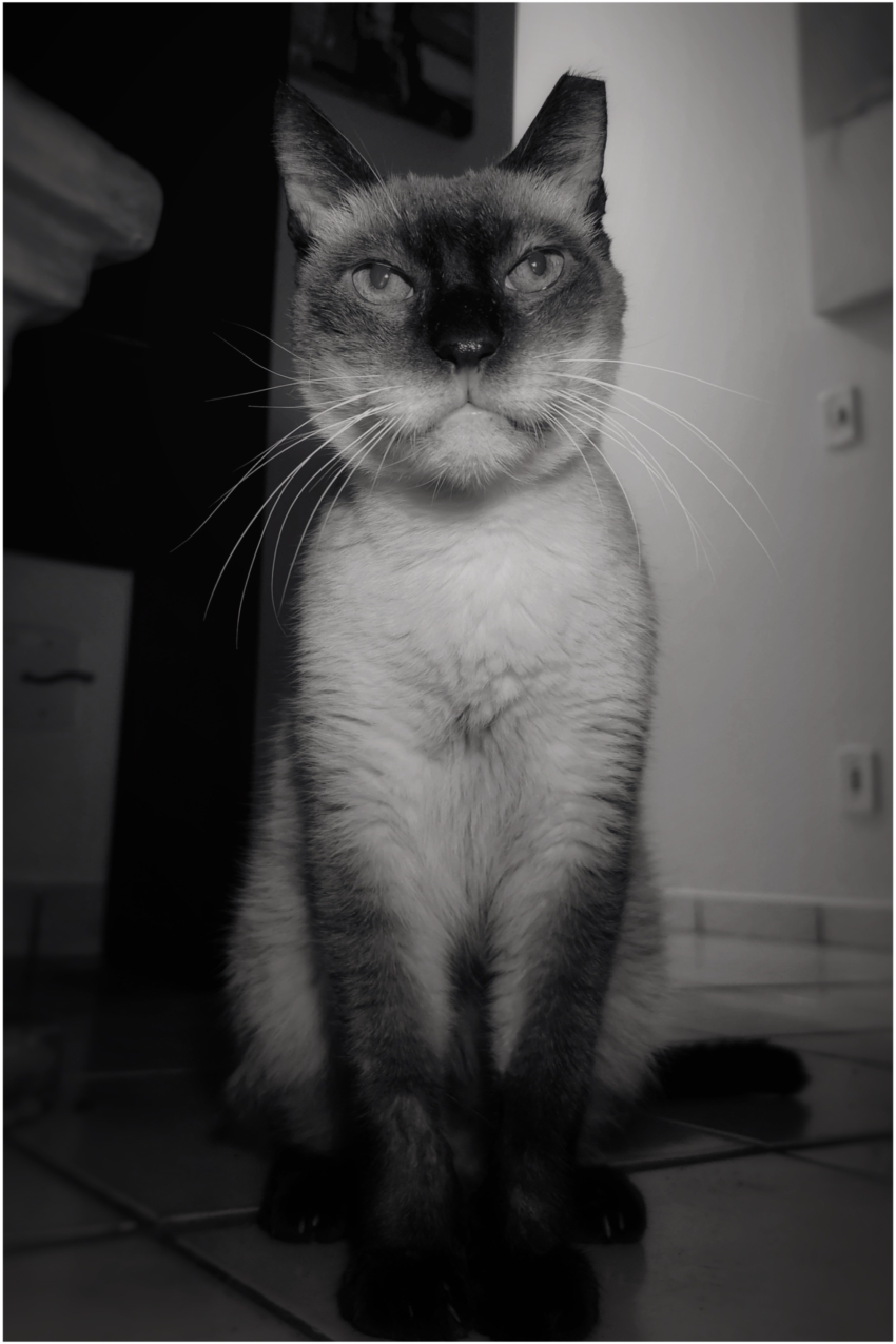 Studio-One.Art.br Repo Fotografia em Rio Preto SP/Brasil