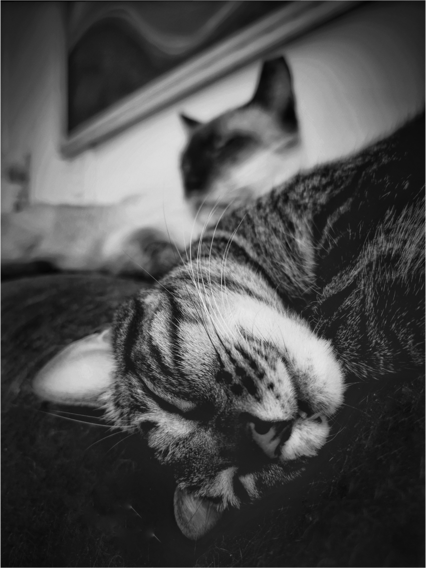 Studio-One.Art.br Repo Fotografia em Rio Preto SP/Brasil