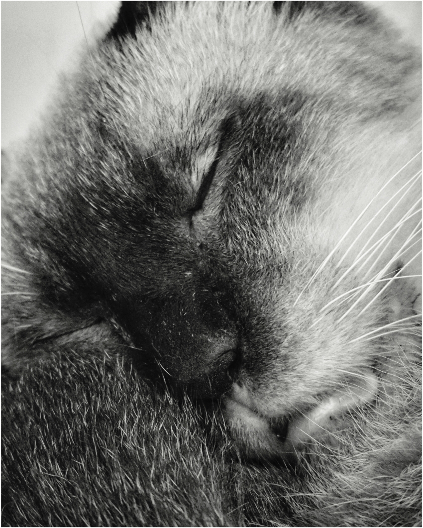 Studio-One.Art.br Repo Fotografia em Rio Preto SP/Brasil