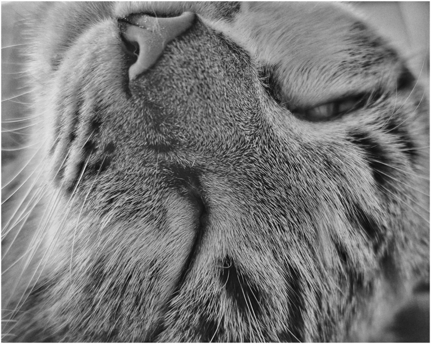 Studio-One.Art.br Repo Fotografia em Rio Preto SP/Brasil