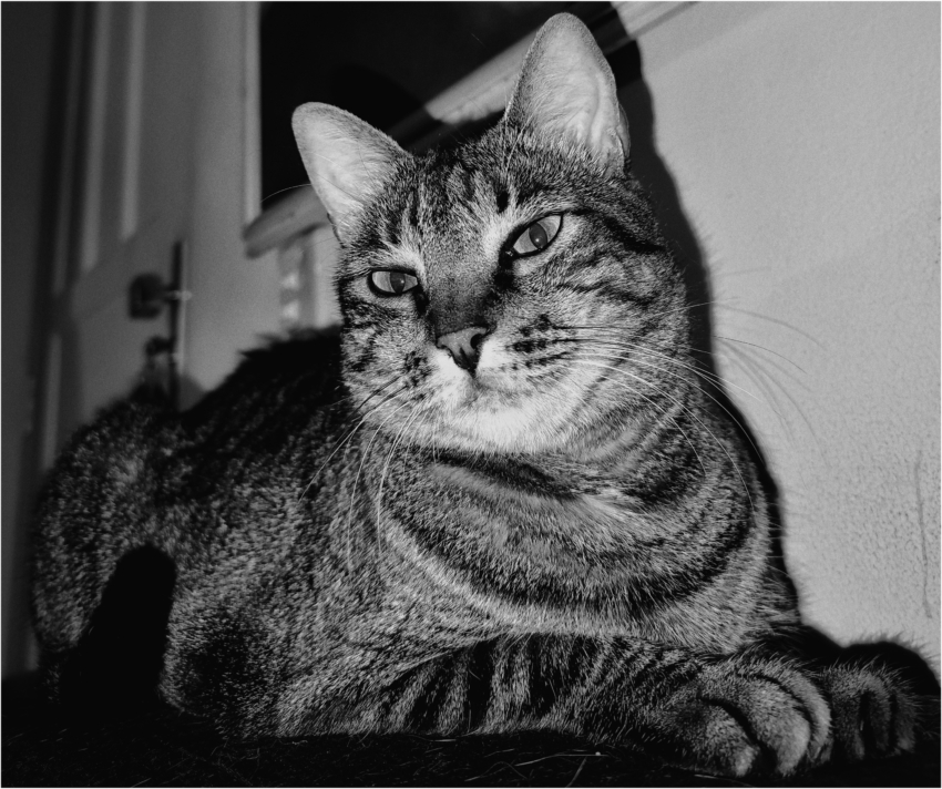 Studio-One.Art.br Repo Fotografia em Rio Preto SP/Brasil