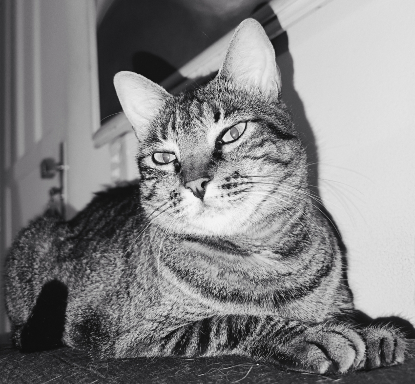 Studio-One.Art.br Repo Fotografia em Rio Preto SP/Brasil