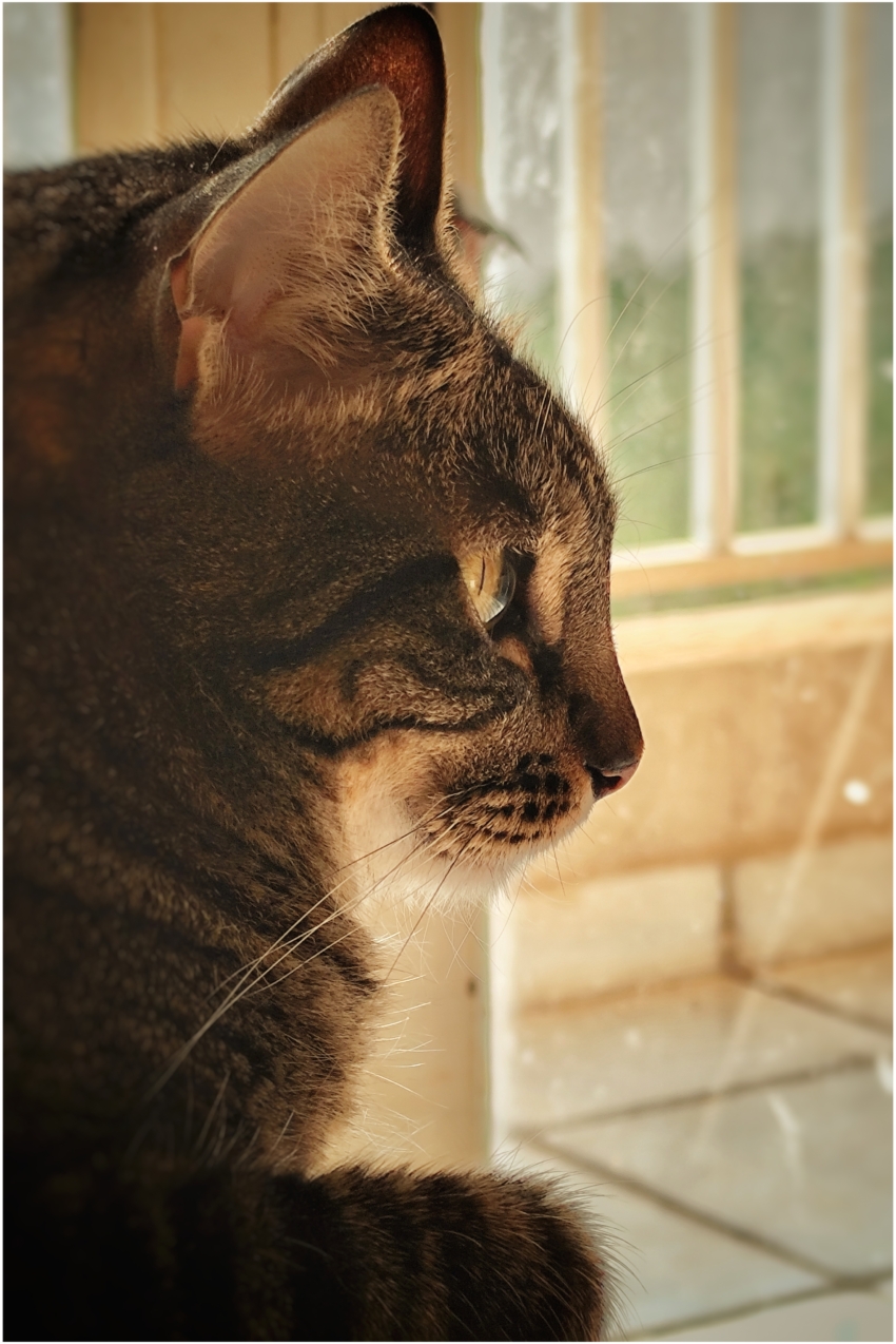 Studio-One.Art.br Repo Fotografia em Rio Preto SP/Brasil