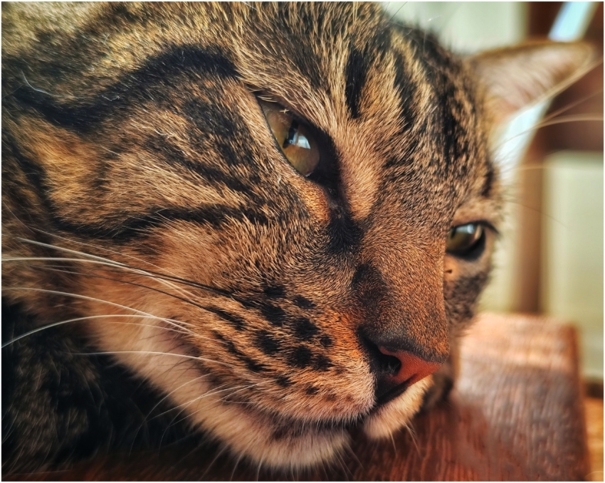 Studio-One.Art.br Repo Fotografia em Rio Preto SP/Brasil