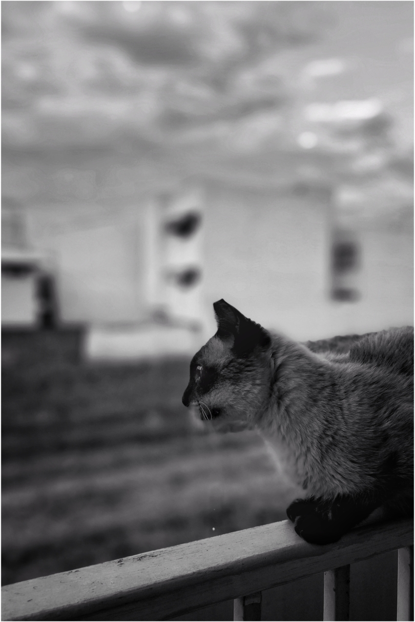 Studio-One.Art.br Repo Fotografia em Rio Preto SP/Brasil