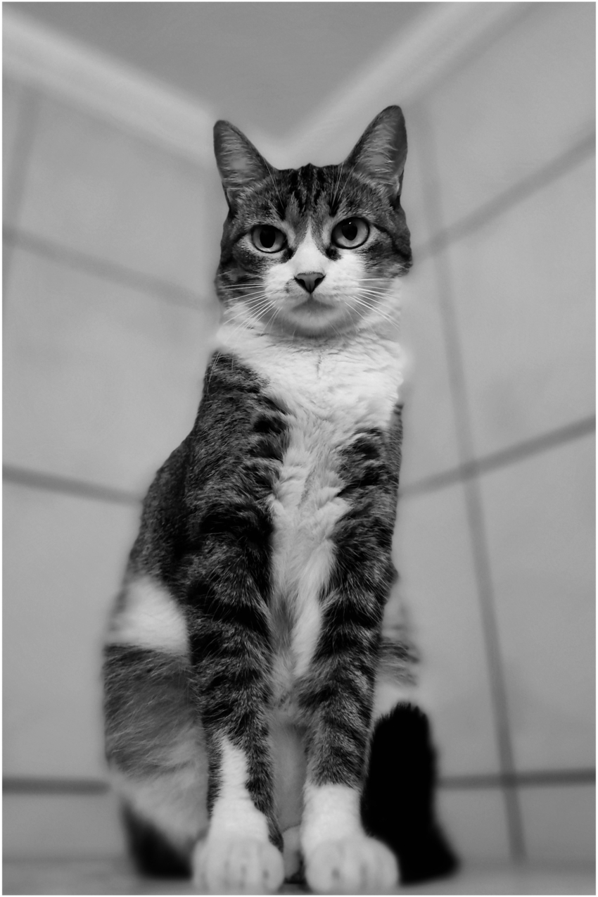 Studio-One.Art.br Repo Fotografia em Rio Preto SP/Brasil