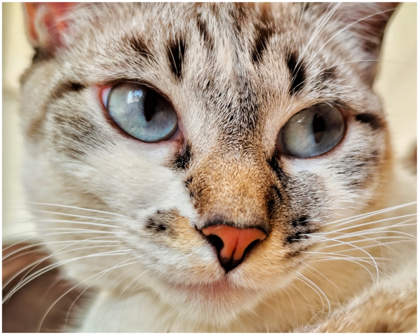 Studio-One.Art.br Repo Fotografia em Rio Preto SP/Brasil