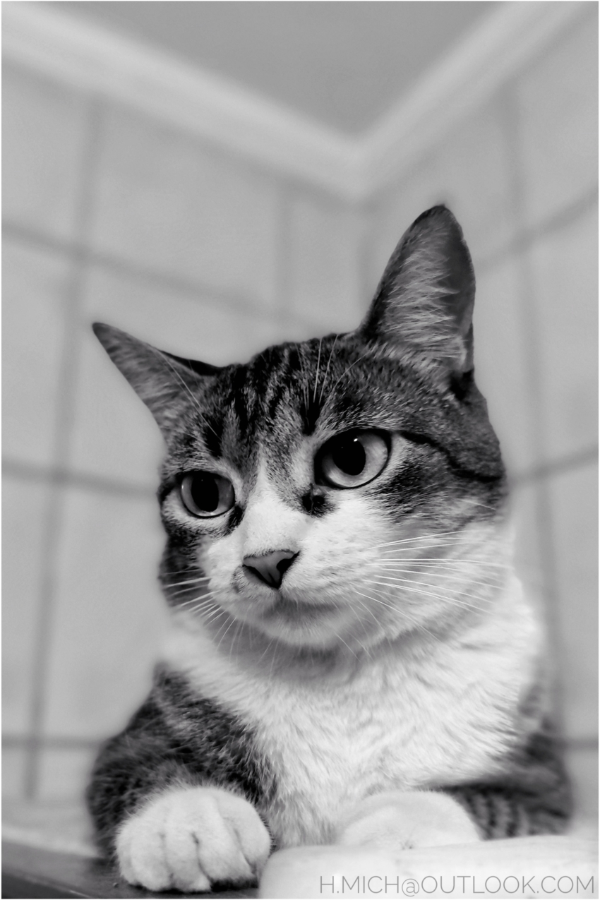 Studio-One.Art.br Repo Fotografia em Rio Preto SP/Brasil