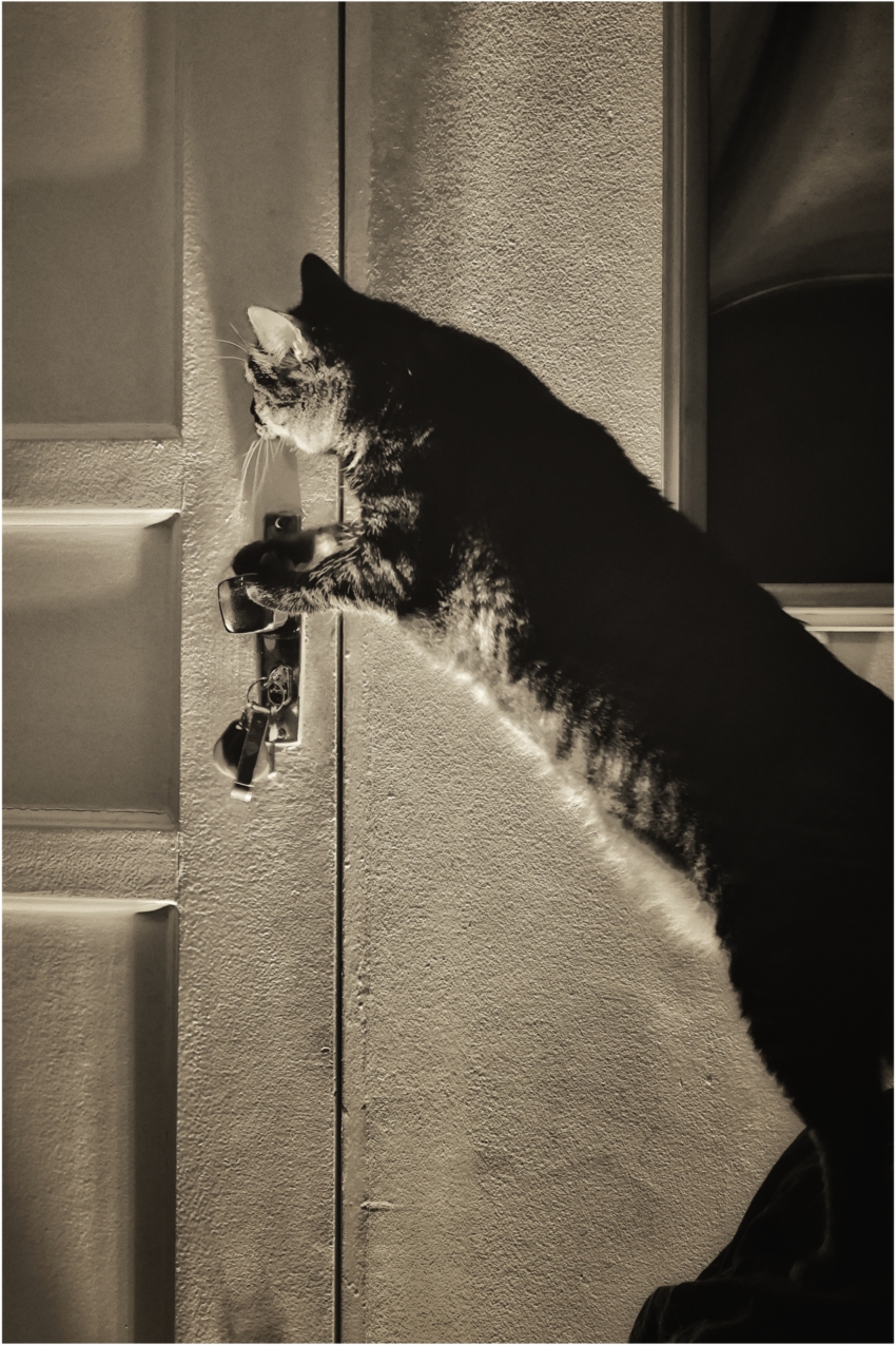 Studio-One.Art.br Repo Fotografia em Rio Preto SP/Brasil