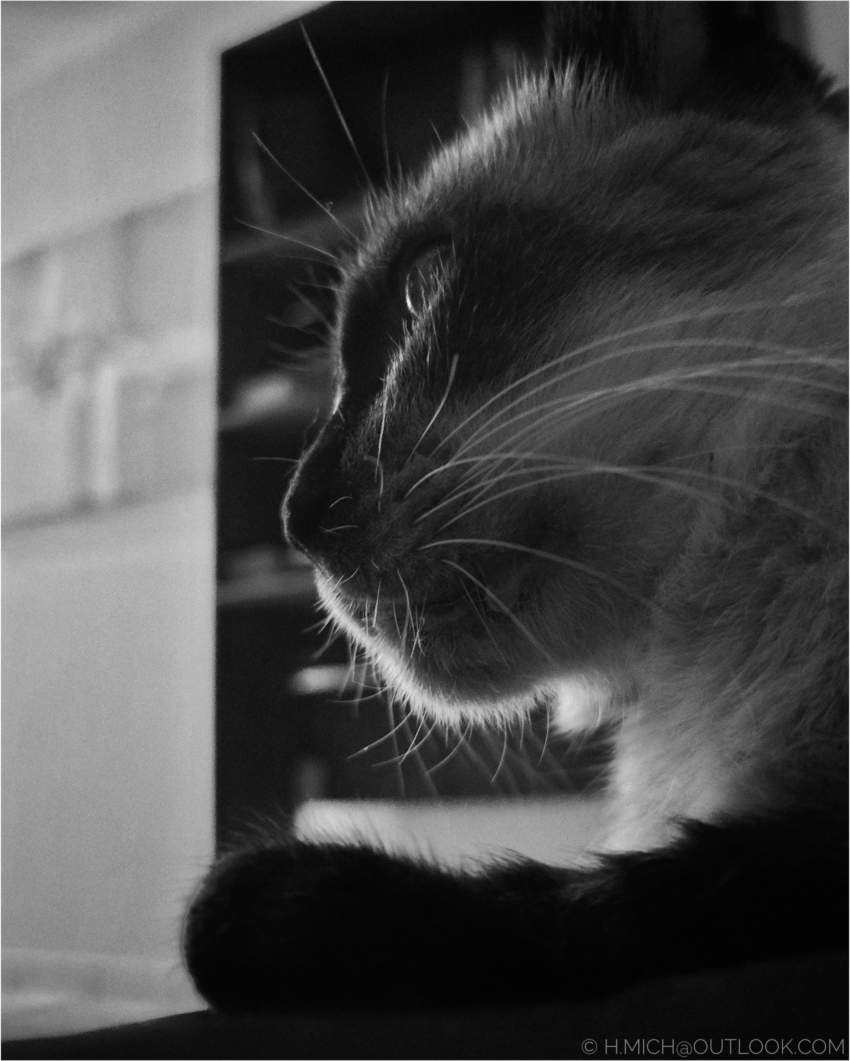 Studio-One.Art.br Repo Fotografia em Rio Preto SP/Brasil