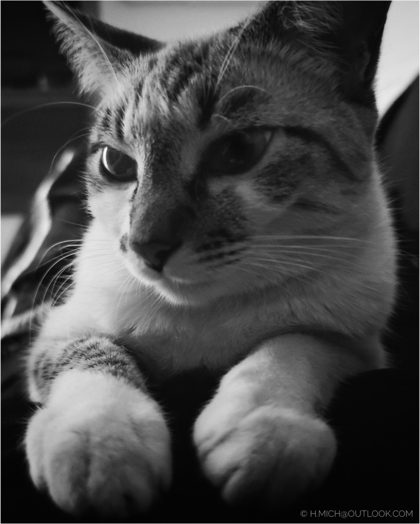 Studio-One.Art.br Repo Fotografia em Rio Preto SP/Brasil