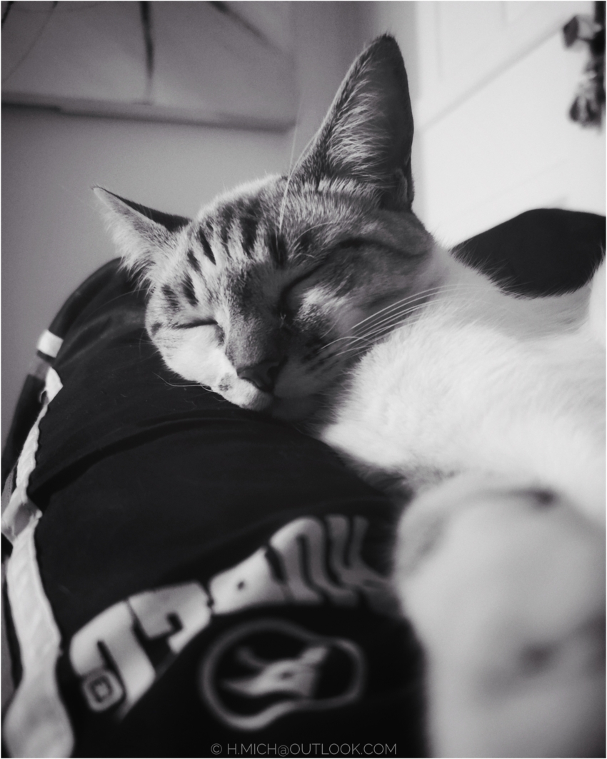 Studio-One.Art.br Repo Fotografia em Rio Preto SP/Brasil