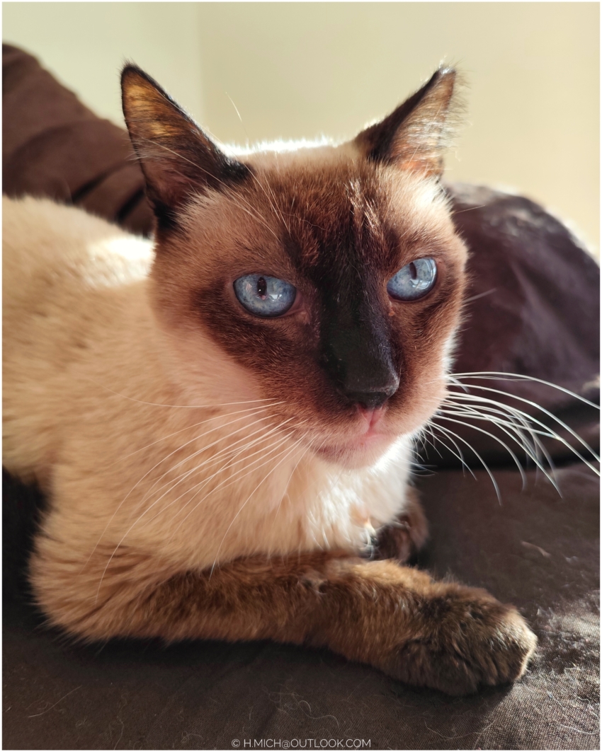 Studio-One.Art.br Repo Fotografia em Rio Preto SP/Brasil