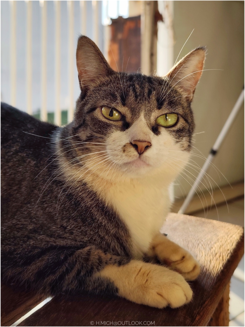 Studio-One.Art.br Repo Fotografia em Rio Preto SP/Brasil