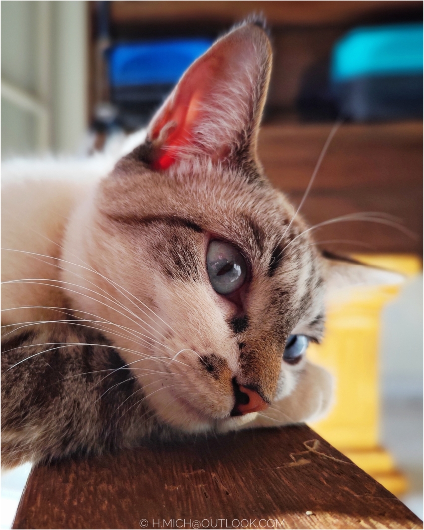 Studio-One.Art.br Repo Fotografia em Rio Preto SP/Brasil