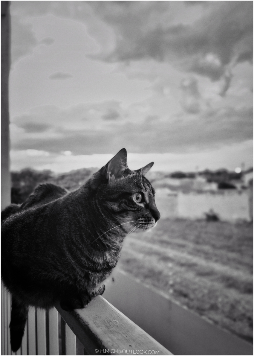 Studio-One.Art.br Repo Fotografia em Rio Preto SP/Brasil