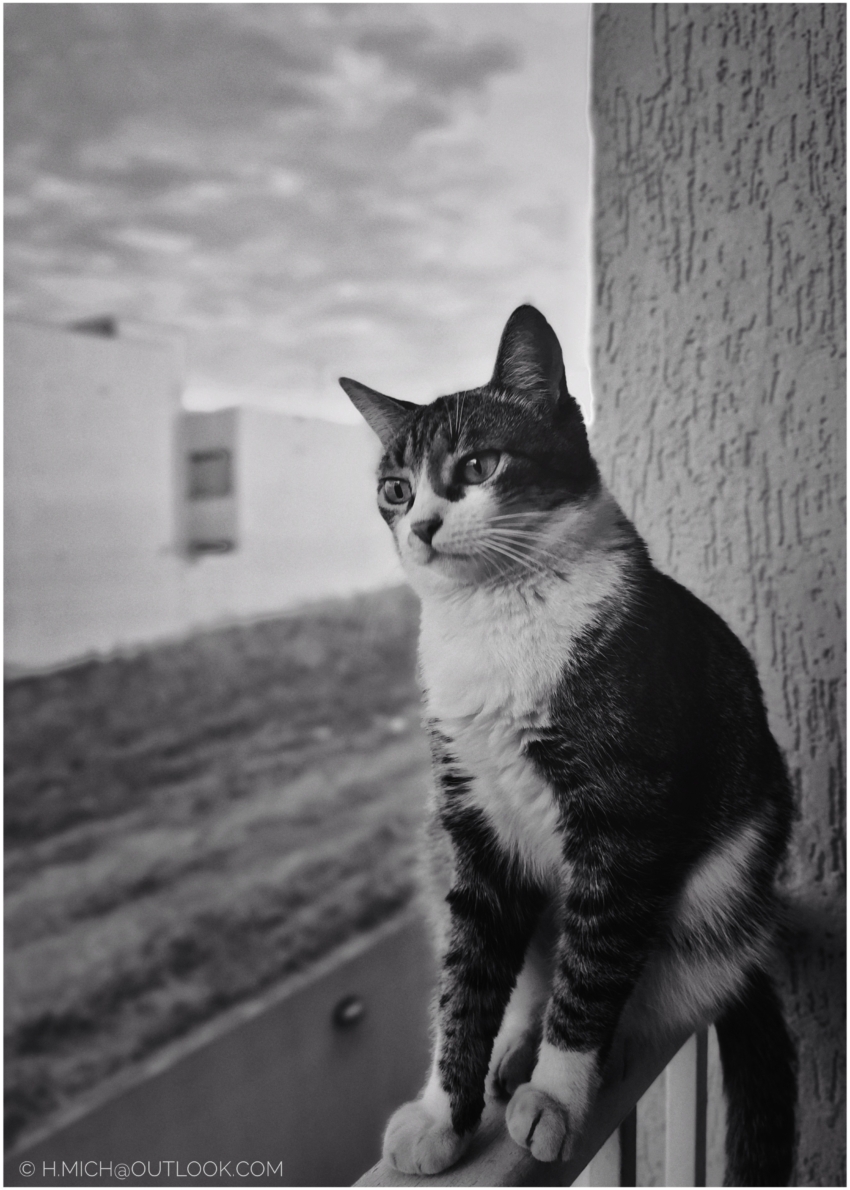 Studio-One.Art.br Repo Fotografia em Rio Preto SP/Brasil