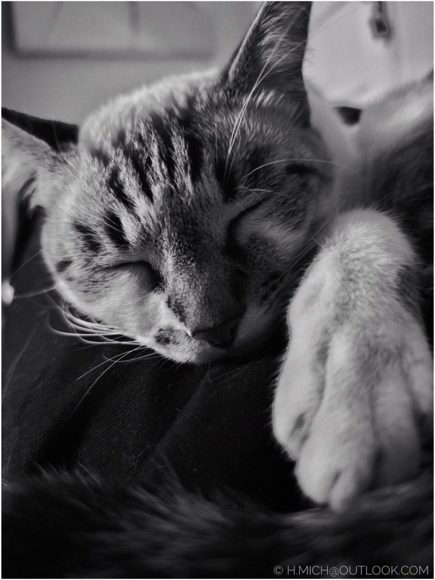 Studio-One.Art.br Repo Fotografia em Rio Preto SP/Brasil