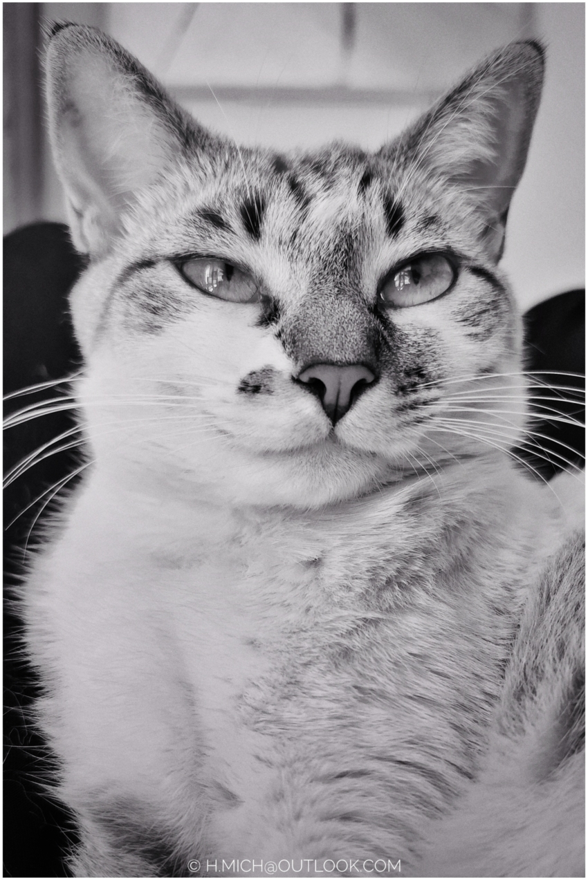 Studio-One.Art.br Repo Fotografia em Rio Preto SP/Brasil