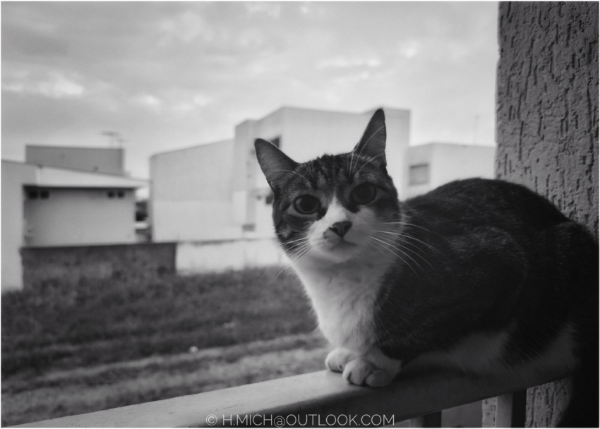 Studio-One.Art.br Repo Fotografia em Rio Preto SP/Brasil