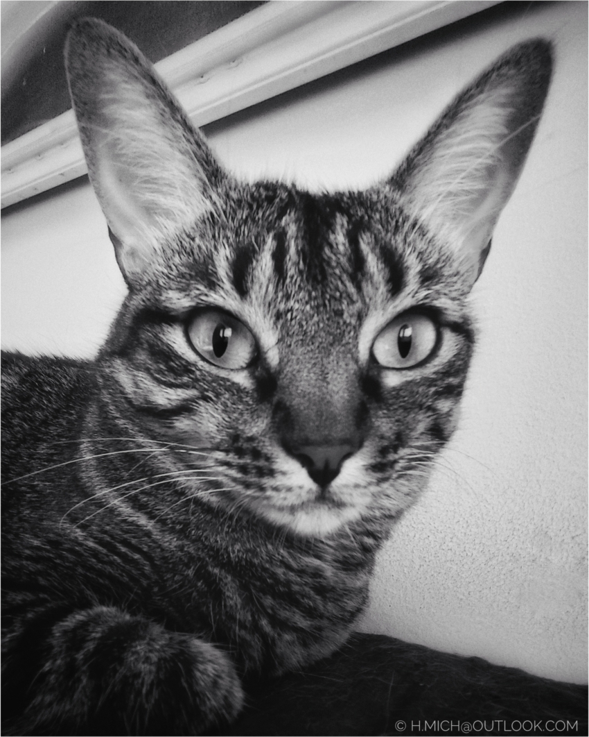 Studio-One.Art.br Repo Fotografia em Rio Preto SP/Brasil