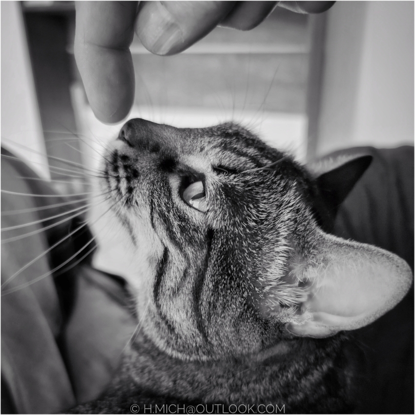 Studio-One.Art.br Repo Fotografia em Rio Preto SP/Brasil