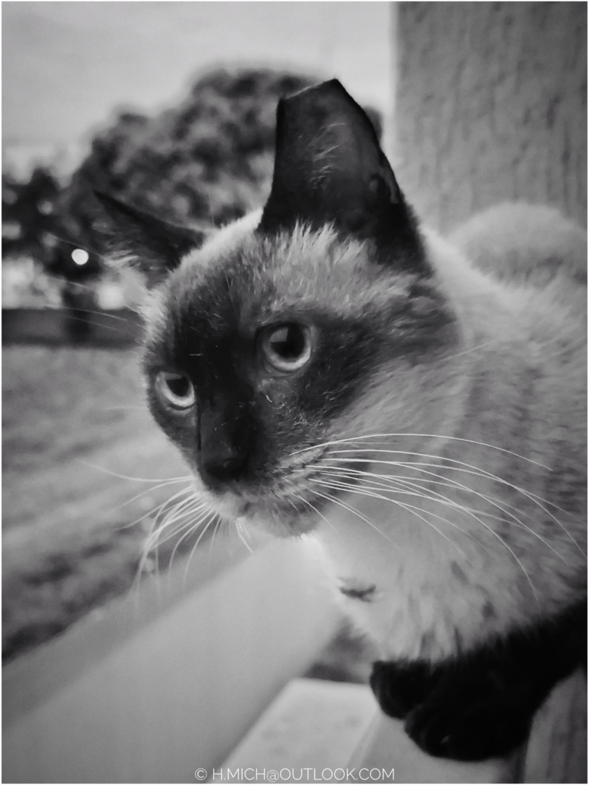 Studio-One.Art.br Repo Fotografia em Rio Preto SP/Brasil