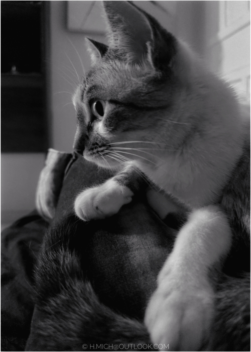 Studio-One.Art.br Repo Fotografia em Rio Preto SP/Brasil