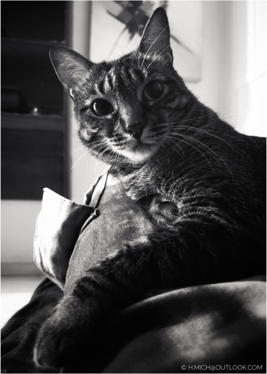 Studio-One.Art.br Repo Fotografia em Rio Preto SP/Brasil