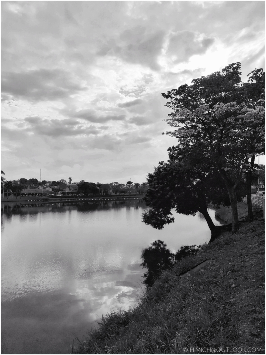 Studio-One.Art.br Repo Fotografia em Rio Preto SP/Brasil