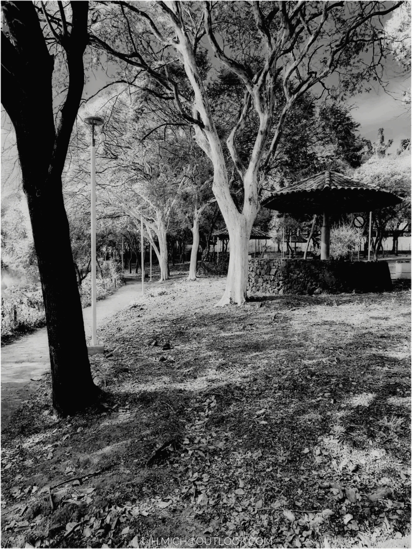 Studio-One.Art.br Repo Fotografia em Rio Preto SP/Brasil