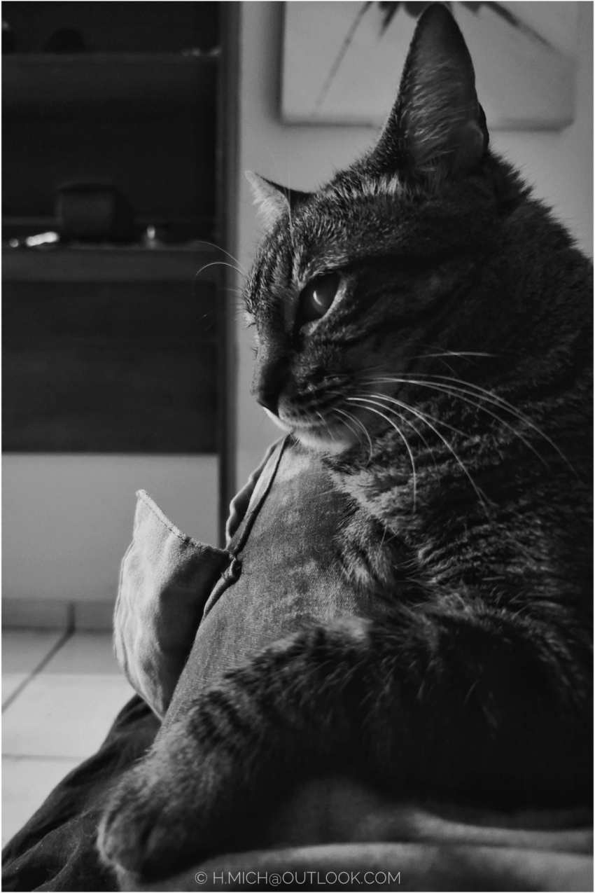 Studio-One.Art.br Repo Fotografia em Rio Preto SP/Brasil