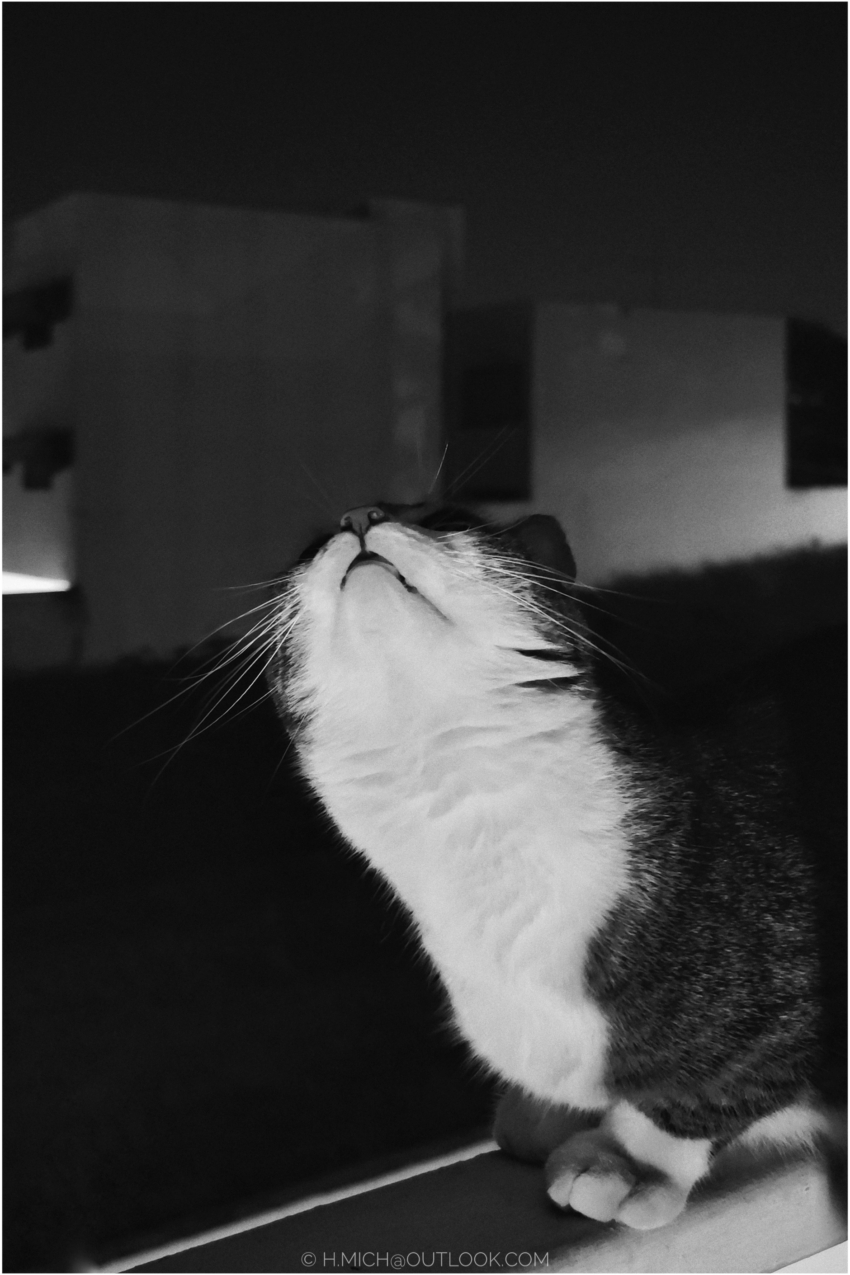 Studio-One.Art.br Repo Fotografia em Rio Preto SP/Brasil