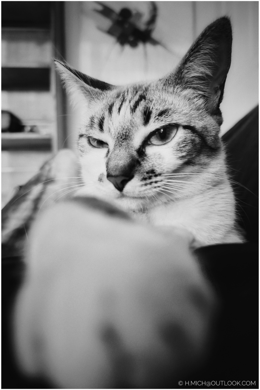 Studio-One.Art.br Repo Fotografia em Rio Preto SP/Brasil