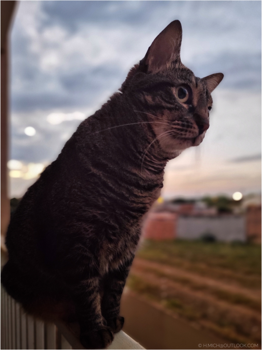 Studio-One.Art.br Repo Fotografia em Rio Preto SP/Brasil