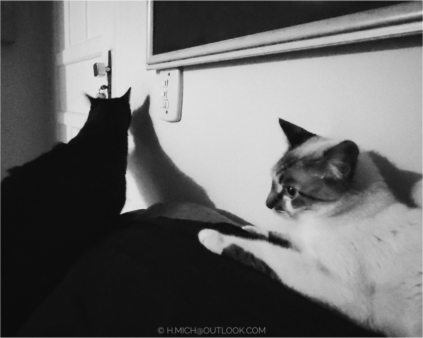 Studio-One.Art.br Repo Fotografia em Rio Preto SP/Brasil