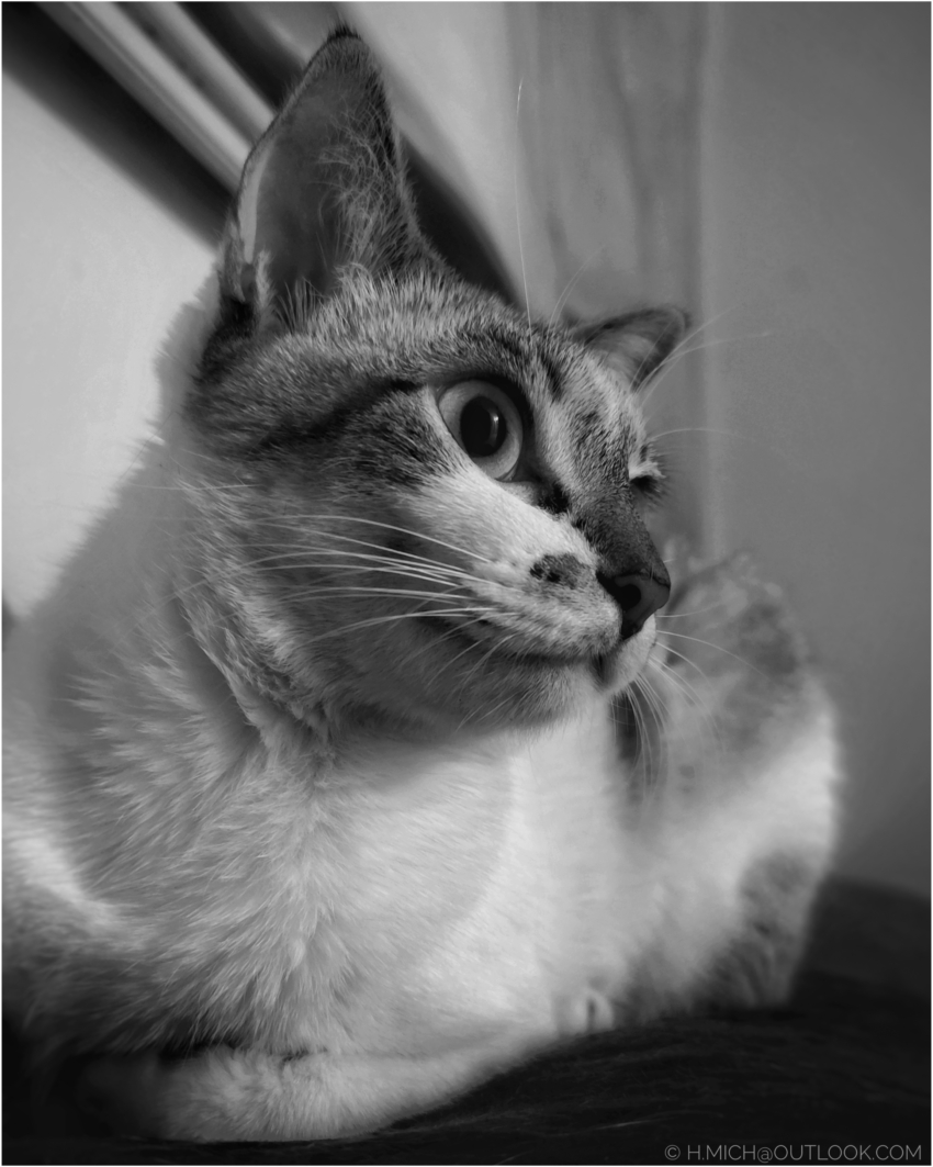 Studio-One.Art.br Repo Fotografia em Rio Preto SP/Brasil