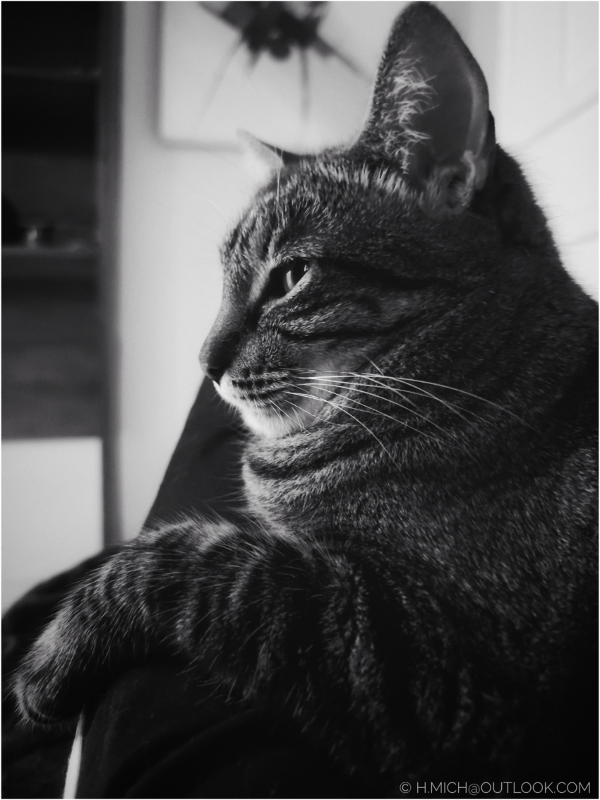 Studio-One.Art.br Repo Fotografia em Rio Preto SP/Brasil