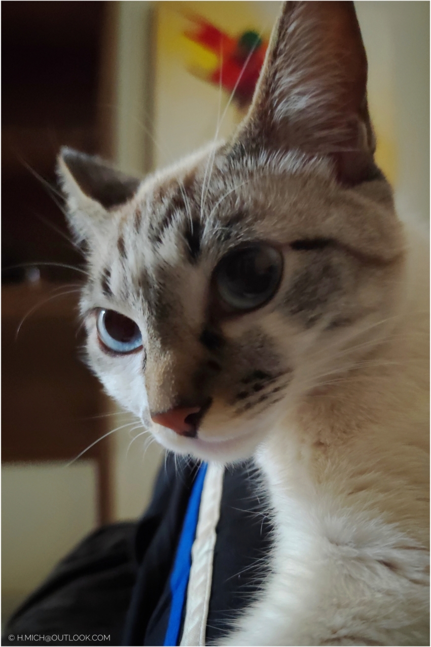 Studio-One.Art.br Repo Fotografia em Rio Preto SP/Brasil