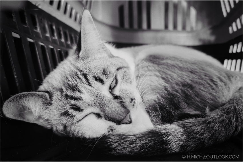 Studio-One.Art.br Repo Fotografia em Rio Preto SP/Brasil