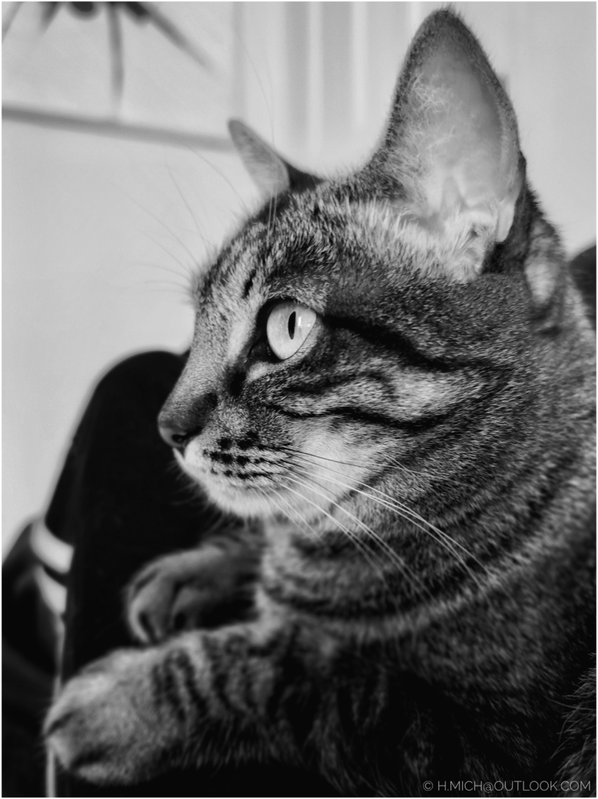 Studio-One.Art.br Repo Fotografia em Rio Preto SP/Brasil