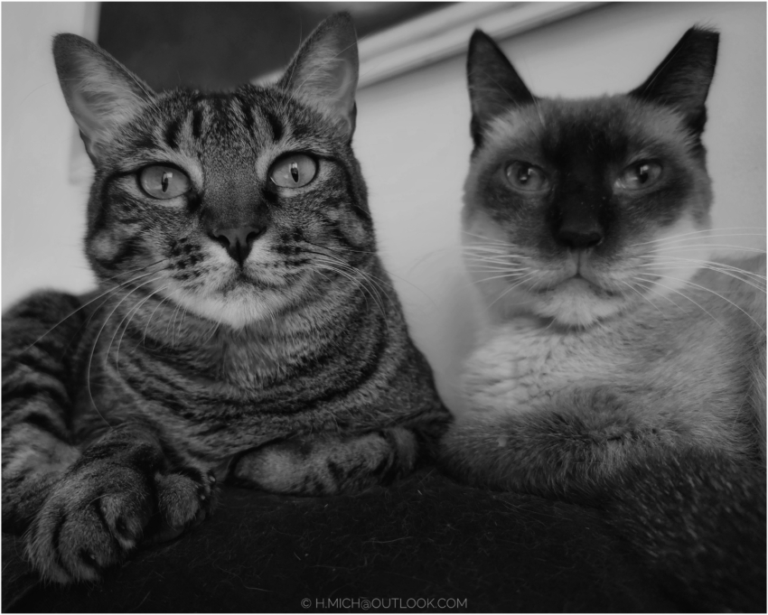 Studio-One.Art.br Repo Fotografia em Rio Preto SP/Brasil