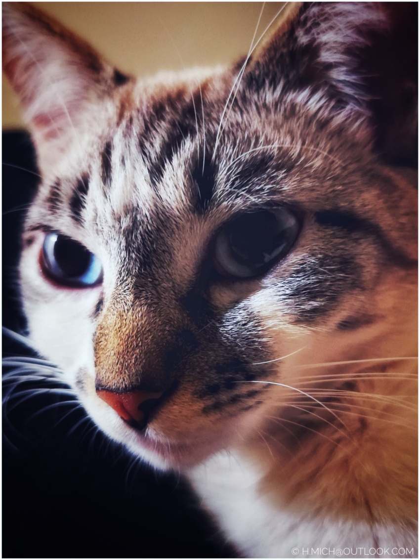 Studio-One.Art.br Repo Fotografia em Rio Preto SP/Brasil