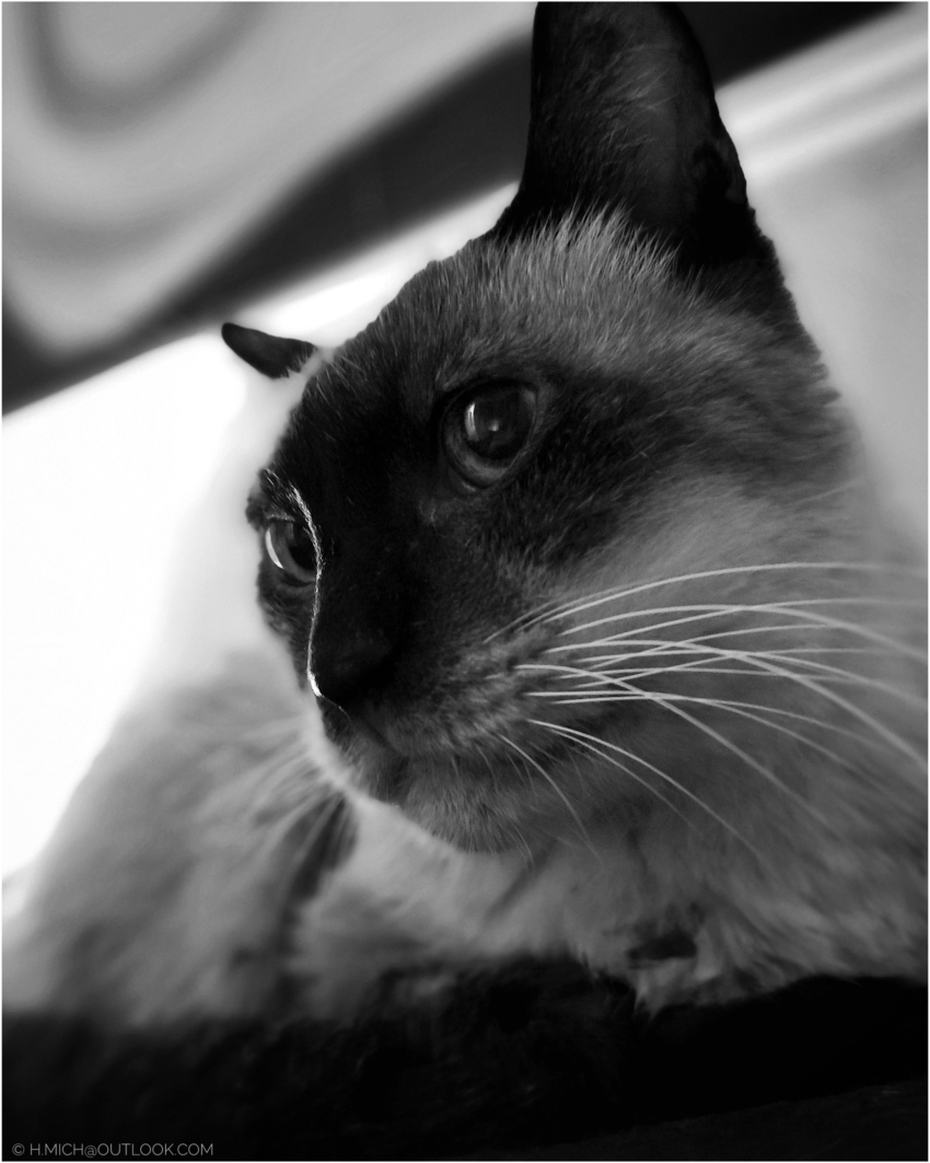 Studio-One.Art.br Repo Fotografia em Rio Preto SP/Brasil