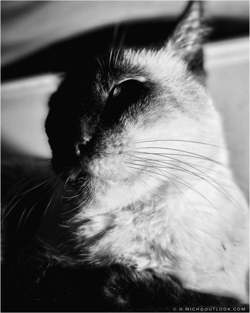 Studio-One.Art.br Repo Fotografia em Rio Preto SP/Brasil